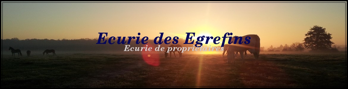 Ecurie des Egrefins